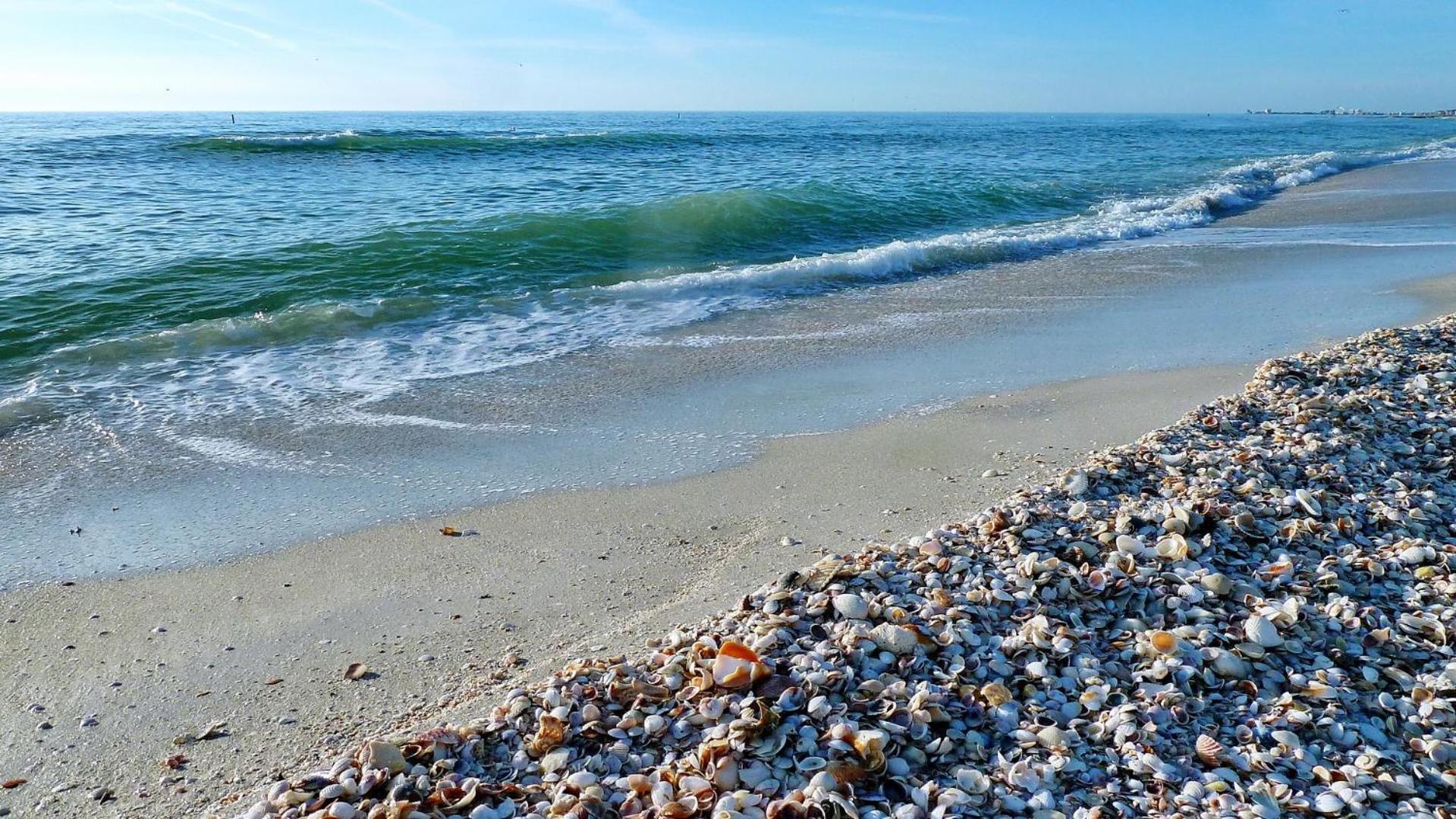 Sand Castle1 804 Clearwater Beach Εξωτερικό φωτογραφία